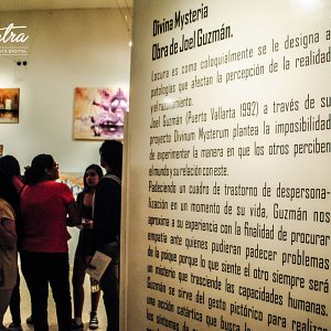 exposicion-divina-mysteria-6