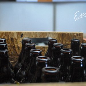 festival-rising-hop-20153