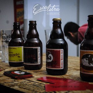 festival-rising-hop-20154