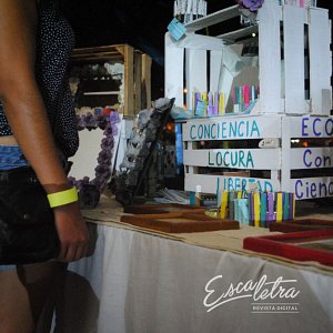 festival-rising-hop-20157