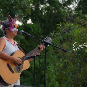 no-soy-frida-ni-tu-diego-festival-rising-hop-2015