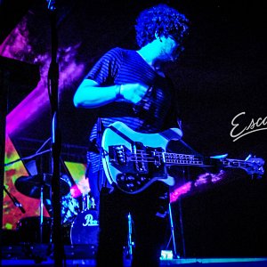 sierra-leon-festival-rising-hop-201526