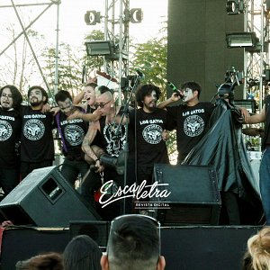 festival-sayulita-2016-8