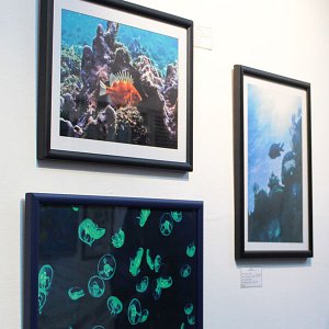 irreal_visual_8-4