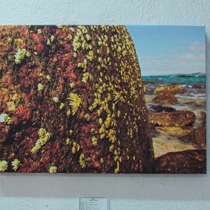 irreal-visual-913