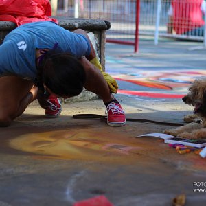 img_8164