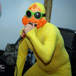 joliette-virgin-turtle-hore4