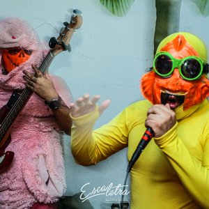 joliette-virgin-turtle-hore5