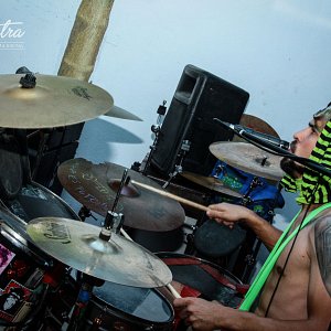 joliette-virgin-turtle-hore6