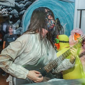 joliette-virgin-turtle-hore7