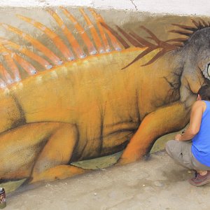 murales-de-yelapa-12