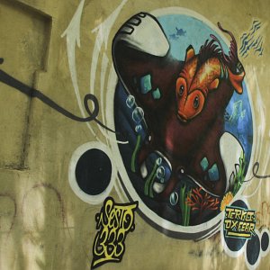 murales-de-yelapa-20
