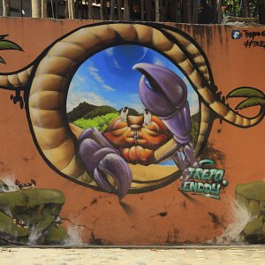 murales-de-yelapa-28