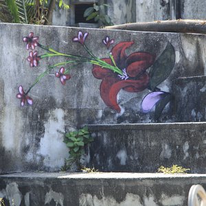 murales-de-yelapa-29