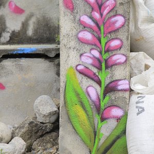 murales-de-yelapa-3