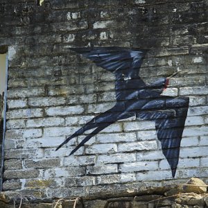 murales-de-yelapa-32