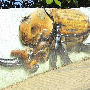 murales-de-yelapa-33