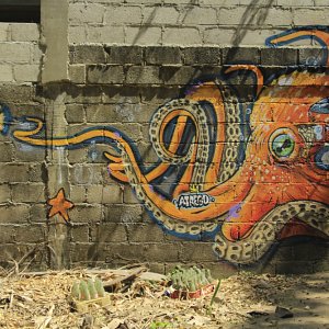 murales-de-yelapa-34