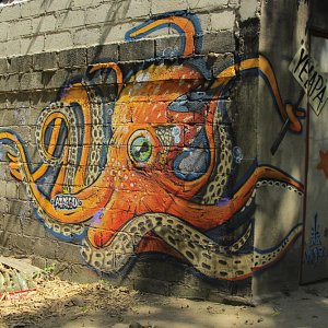 murales-de-yelapa-35