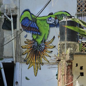 murales-de-yelapa-36