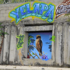 murales-de-yelapa-4