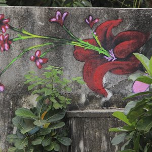 murales-de-yelapa-6