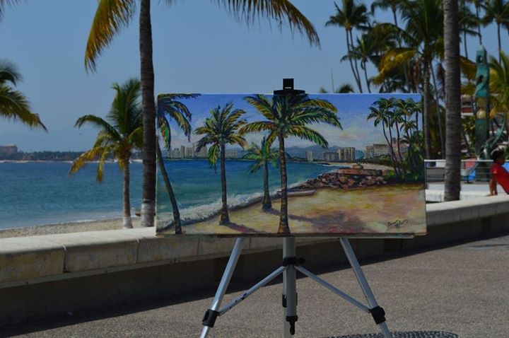 Vallarta en las rocas
