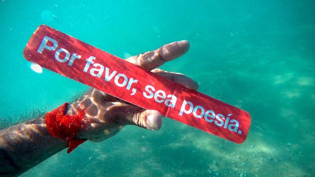 Por favor, lea poesía en Vallarta