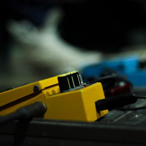 img_5401