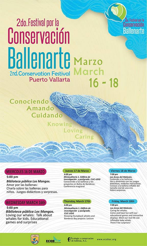 Último día - Festival por la conservación 