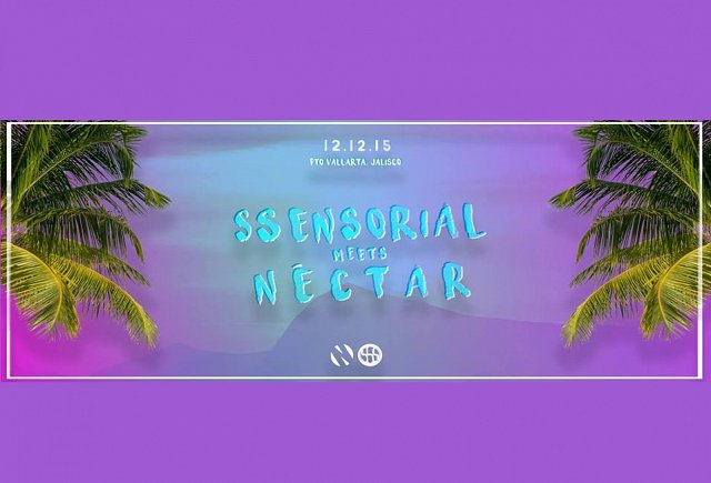 SSensorial Meets Néctar