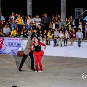 vida-fest-17