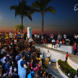 vida-fest-4