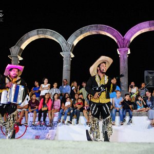 vida-fest-6