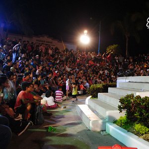 vida-fest-8