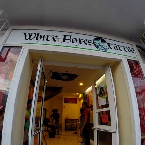 web_white-foxes-12