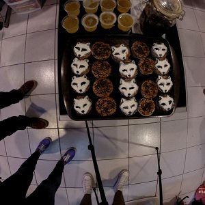 web_white-foxes-15